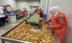 TKDK desteğiyle dünyanın dört bir yanına döner ihraç etmeye başladı