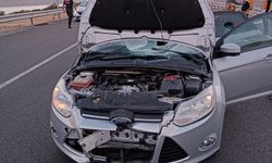 Elazığ'da otomobilin çarptığı yaya öldü
