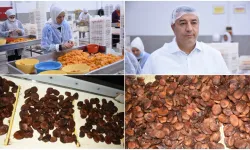 Malatya'da kuru kayısının işlenme süreci basına tanıtıldı