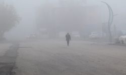 Malazgirt'te sis etkili oldu