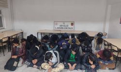 Ağrı’da 24 Afgan göçmen yakalandı