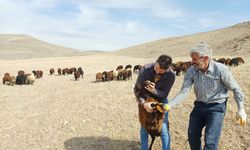 Erzurum'da "Köyümde Yaşamak için Bir Sürü Nedenim Var" projesinin 3'üncü etabı başladı