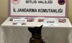 Bitlis'te üzerinde uyuşturucu bulunan kişi gözaltına alındı