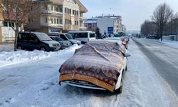 Erzurum, Ağrı, Kars, Ardahan ve Tunceli'de dondurucu soğuklar etkisini sürdürüyor