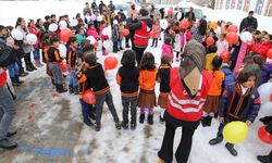 Türk Kızılay gönüllüleri düzenledikleri şenlikle Van'daki çocukları sevindirdi