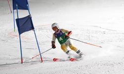 20. İşitme Engelliler Kış Olimpiyat Oyunları