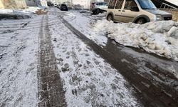 Erzurum, Ardahan ve Kars'ta kar yağışı ve soğuk hava etkili oluyor