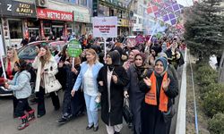 Hakkari'de Dünya Kadınlar Günü etkinliği düzenlendi