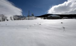 Kars ile Ardahan'da kar ve soğuk hava etkili oldu