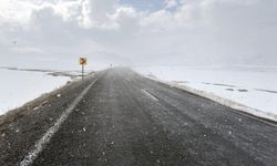 Kars'ta kar ve sis ulaşımı aksatıyor