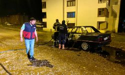 Ardahan'da park halindeki otomobil yandı