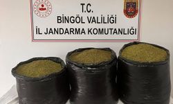 Bingöl'de 53 kilo 500 gram esrar ele geçirildi
