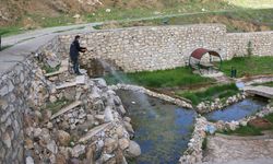 Bitlis'te sinekle mücadele çalışmaları başladı