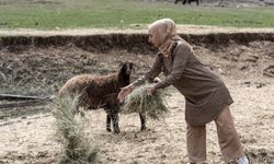 Gurbetten köyüne dönen kadın devlet desteğiyle sürü sahibi oldu