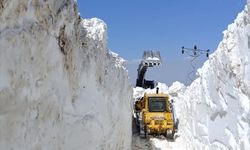 Hakkari'de üs bölgesi yolunda karla mücadele çalışmaları sürüyor
