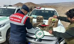 Kars'ta keklik avlayan 2 kişiye 57 bin 406 lira ceza kesildi