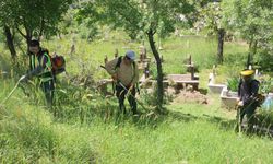 Bitlis Belediyesi mezarlıklarda temizlik çalışması yaptı