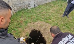 Erzincan'da kuyuya düşen inek kurtarıldı