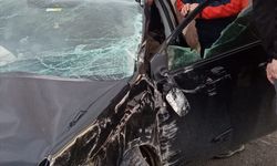 Kars'ta bahçe duvarına çarpan otomobildeki anne ve 2 çocuğu yaralandı