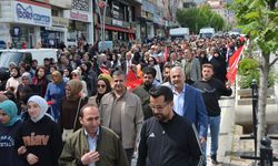 Muş'ta "Ailemiz İstikbalimiz" yürüyüşü yapıldı