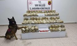 Van'da geçen hafta 129 kilo 662 gram uyuşturucu ele geçirildi