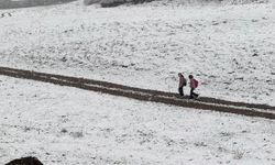 Van'ın Başkale ilçesinde kar etkili oldu