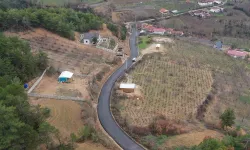 Sakarya'da Geyve Şehren ve Çamlık mahallelerine yeni yüz