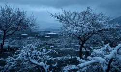 Malatya ve İlçelerinde Bugün Hava Durumu - 19 Şubat 2025