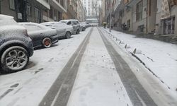 İstanbul'da kar yağışı başladı, işte eğitime ara verilen ilçeler!