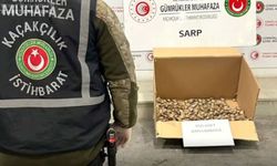 Sarp Gümrük Kapısı’nda kaçak su kaplumbağası operasyonu