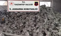 Gaziantep'te 10 ton sahte bebek maması ele geçirildi