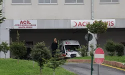 Malatya'da otomobil bahçeye yuvarlandı: 2 yaralı