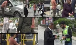 Halka ücretsiz fide dağıtıldı