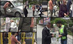 Halka ücretsiz fide dağıtıldı