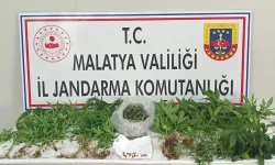 Narkotik Operasyonlarında Çok Sayıda Gözaltı