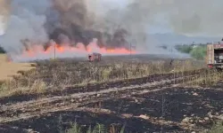 Malatya'da 41 noktada yangın çıktı