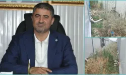 Yıldız, “Konteynerde Hayat Durdu”