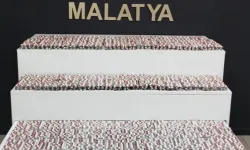 Malatya'da uyuşturucu operasyonu: 2 gözaltı