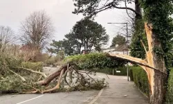 Meteoroloji'den kuvvetli rüzgâr uyarısı
