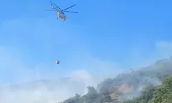 Malatya'da dün başlayan orman yangını kontrol altına alındı