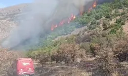 Malatya'da orman yangını