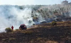 Malatya'da bir orman yangını daha
