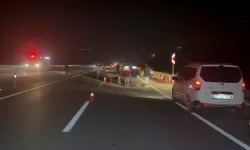 Malatya Valiliği: Kaçan yarış atlarından 6'sı telef oldu, 2 vatandaş yaralandı