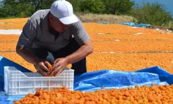 Malatya'da sezonluk işçi ücretleri belli oldu