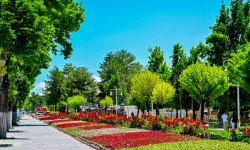 Malatya'da parklar ve kavşaklar çiçeklerle süslendi