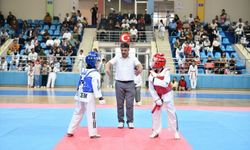 Yeşilyurt'ta minikler tekvando turnuvası düzenlendi