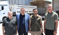 Malatya'da TMO Arpa ve Buğday Alımları Sürüyor
