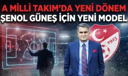 TFF, Şenol Güneş için futbol direktörlüğü planlıyor