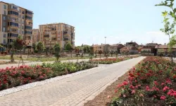 Battalgazi'deki “Gül Bahçesi Projesi”nin çalışmaları tüm hızıyla devam ediyor
