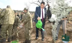 Türkiye Yüzyılına Nefes İçin Fidan Dikildi